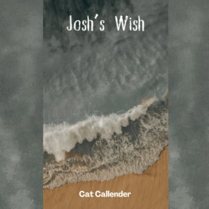 Josh's Wish. A short horror story. with PLR & MRR Rights