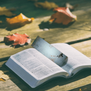 Thriller Bookmark Bundle – Horror, Crime & Thriller Bookmarks (SVG, PDF & PNG Digital Download)